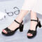 2020 New Thick Heel Sandals Women’s Summer Fish Mouth