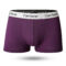 Boxer Shorts Men’s Panties Homme Underpants Boxershorts