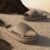 Feslishoet Women Letter Slippers Beach Slides Solid Color Mens Thick Sole Indoor Bathroom Anti Slip Shoes Summer Couple Sandals