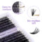 Wendy Hot Melt Individual Lashes 240 Pcs Large Tray 10D+20D/30+40D Mix DIY Clusters Soft Lashes Extension